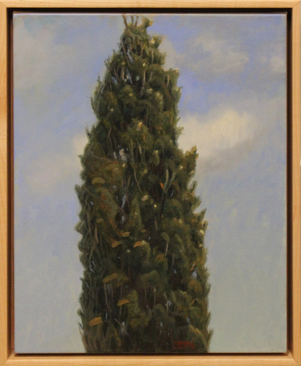 Cortona Cedar Tree     
2015, Oil on Linen,  14x11

