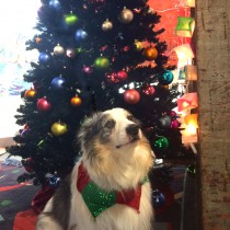Happy Holidays from Lee Hansley Gallery